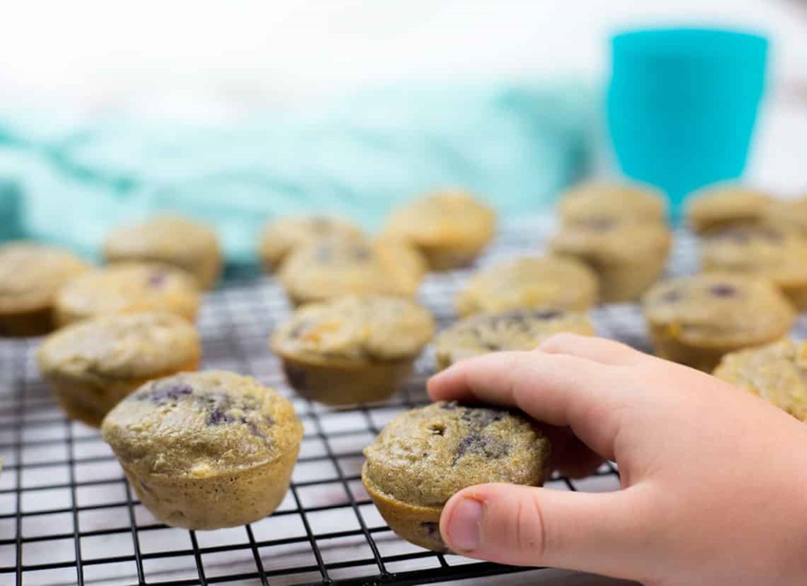 toddler-muffins-recipe