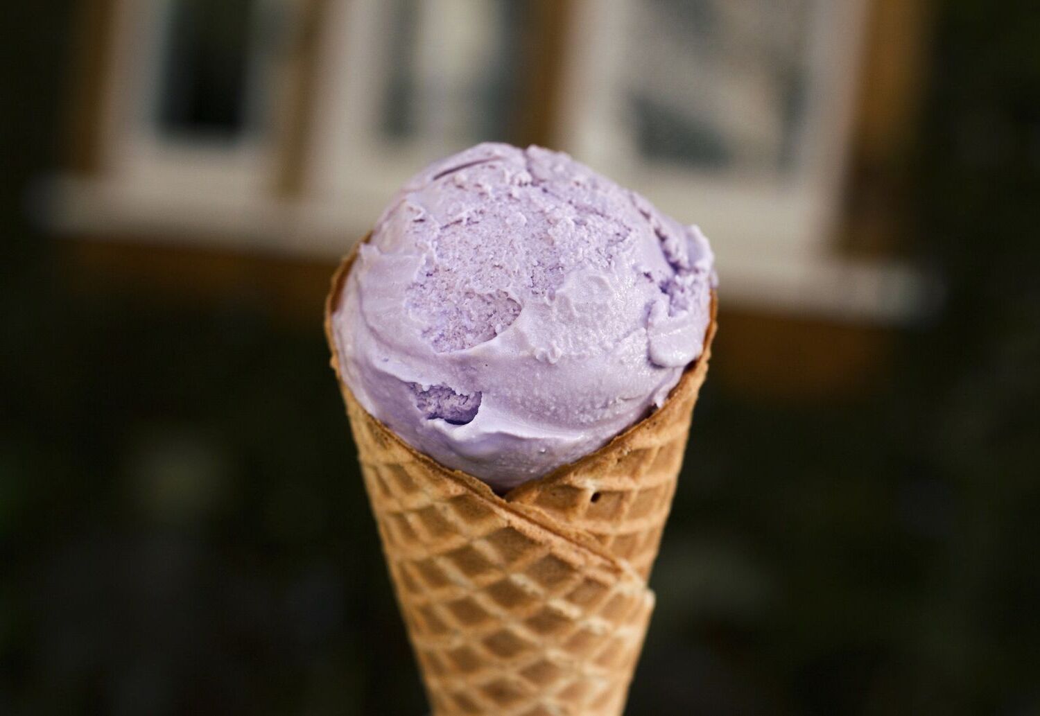 honey-lavender-ice-cream-recipe