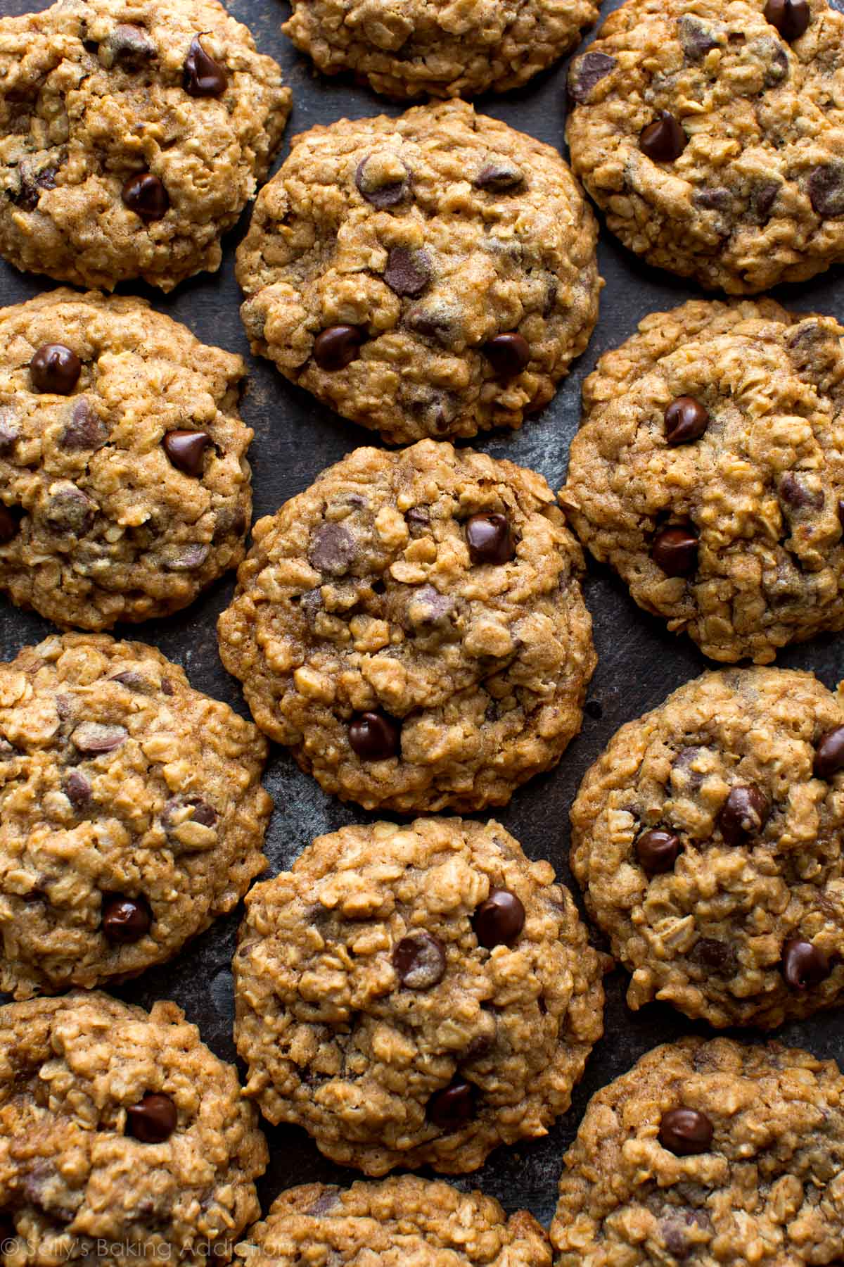 chewy-chocolate-chip-oatmeal-cookies-recipe